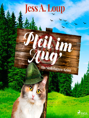cover image of Pfeil im Aug'